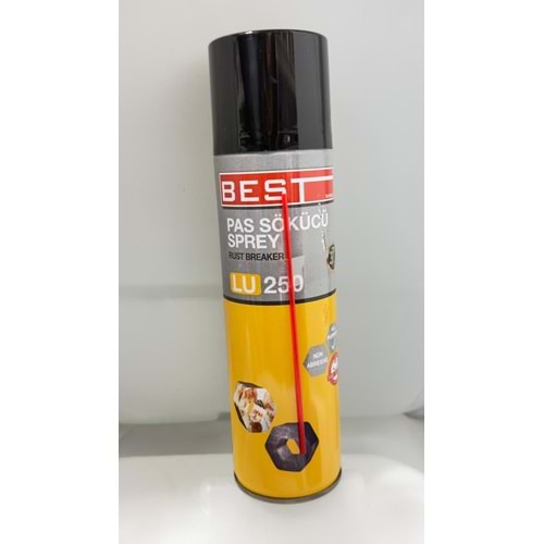 BEST PAS SÖKÜCÜ 250 ML